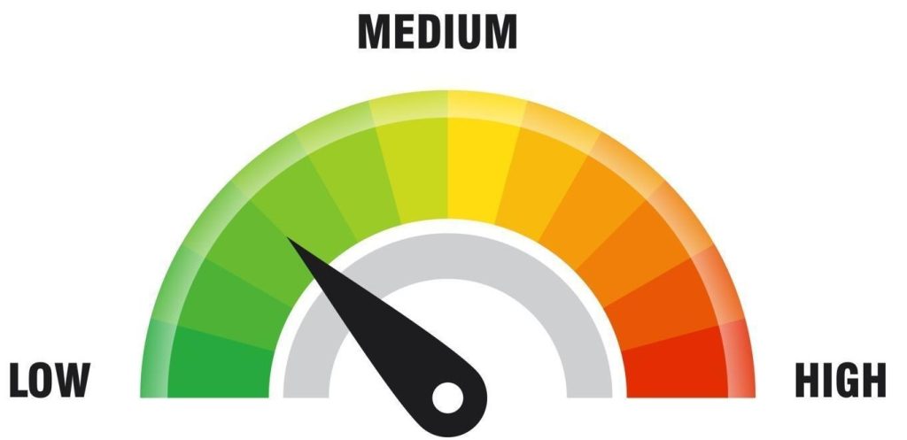 Low,Medium,High Risk Speedometer showing Low risk for Client Risk Profile
